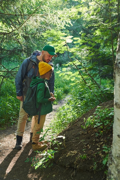 森でのハイキング中に木や茂みを調べる父と息子