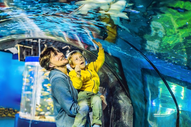 父と息子は海洋水族館の水族館で魚を見ます