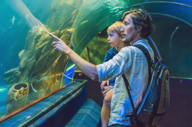 Father and son look at the fish in the aquarium in oceanarium.