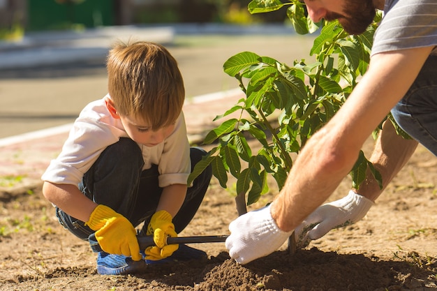 The father and a son plant a little tree