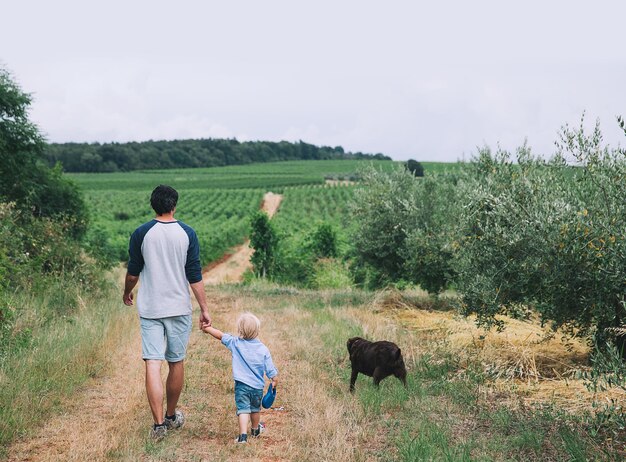 Father and son walking with dog on nature outdoors Family background Dad and his kid walking on trail among field and vineyards