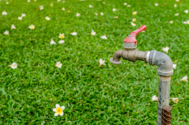 Faucet in garden 