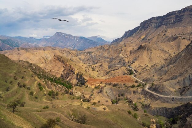 岩の断層。緑のテラスと青い曇り空のあるユニークな緑の山の風景。地質断面、距離の断層。想像を絶する岩からの背景。