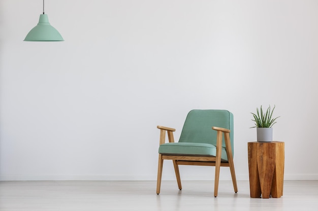 Fauteuil en potplant in een kamer met muntkleurige lampenkap