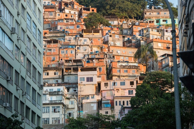 Favela pauw in copacabana in Rio de Janeiro Brazilië