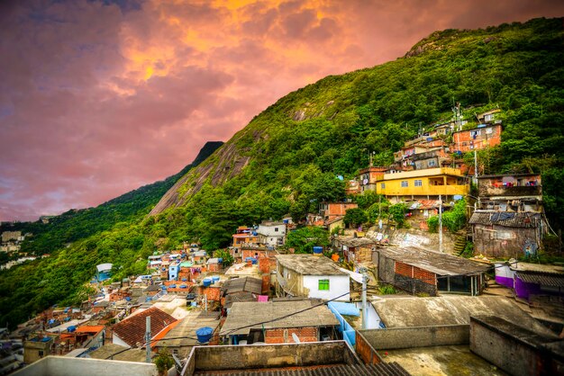 Favela