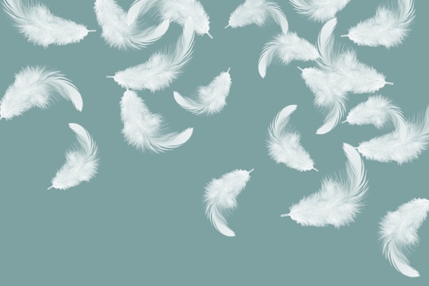 feather abstract background. white feathers falling in the air.