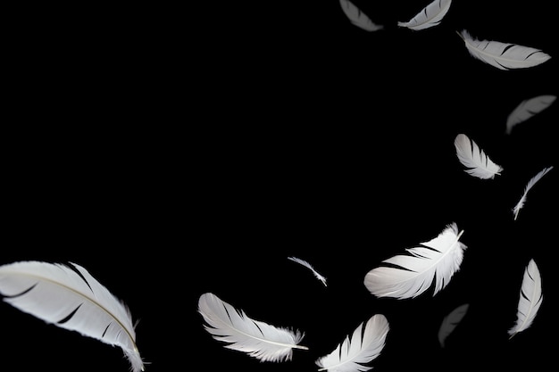 feather abstract background. white feathers flying in the dark.