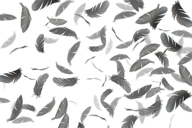 feather abstract background