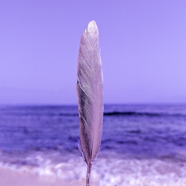 海の背景に羽。最小限