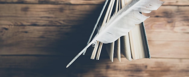 Feather on book on the wooden table