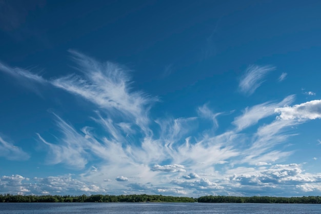 夏の日に水面に羽毛雲