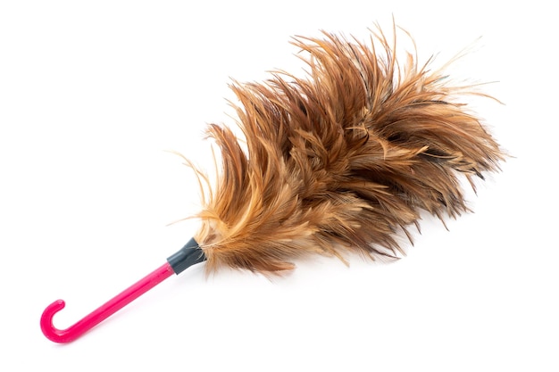 Feather duster on a white background A feather duster is an implement used for cleaning Housework