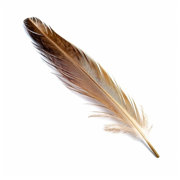 Feather isolated on white background created with generative AI