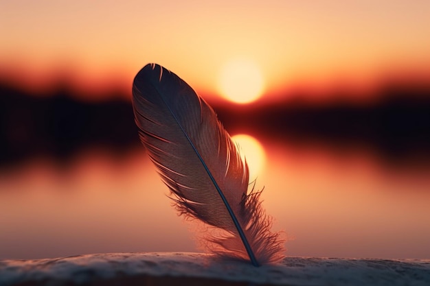 A feather that is laying on a ledge with the sun setting behind it.