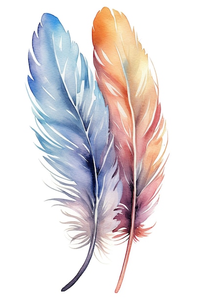 Feather watercolor clipart cute isolated on white background with Generative AI Technology