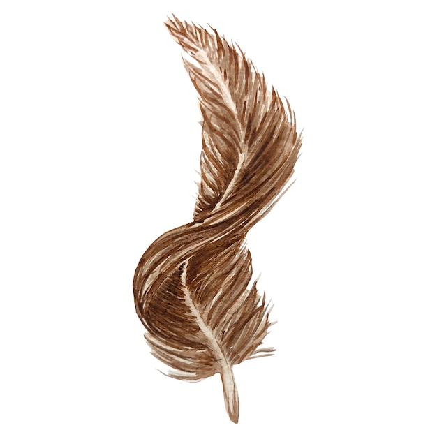 feather watercolor