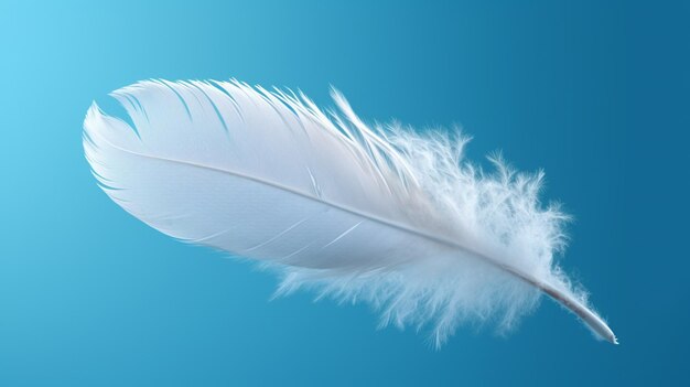 The feather