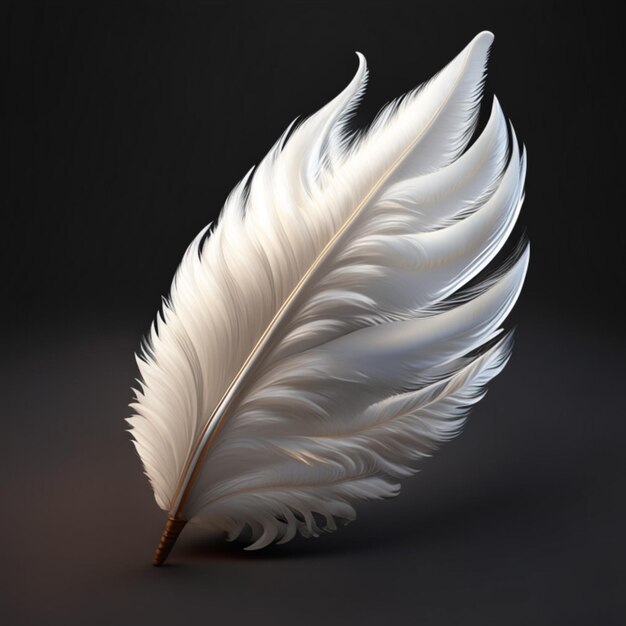 Feather