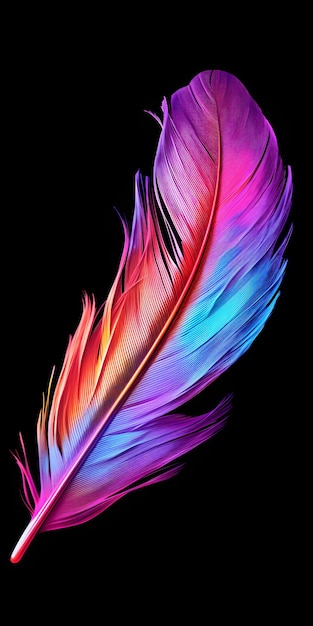 Feather