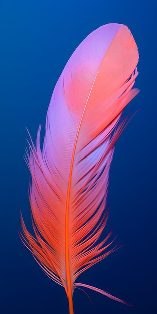 Feather