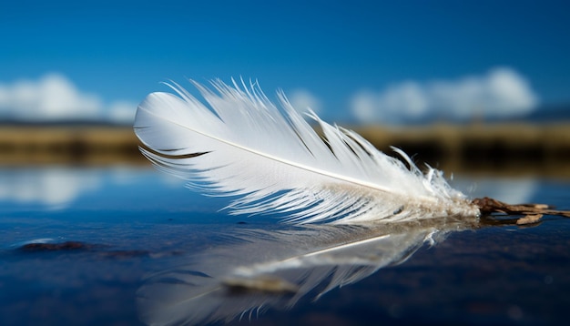 Feathered elegance in motion swan wing creates ripples in tranquil pond generated by artificial intelligence