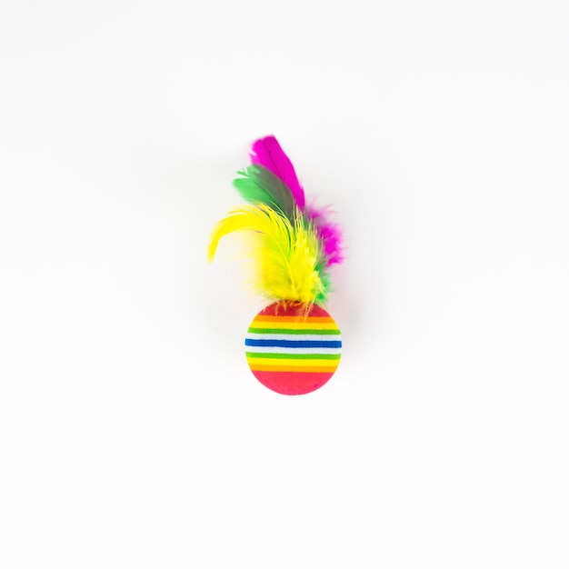 feathers on white background toys for dog and cat pet