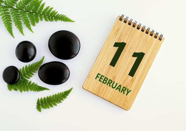 写真 2 月 11 日 11 日 カレンダー 日付 メモ帳 黒い石 緑の葉 冬の月 年の日の概念