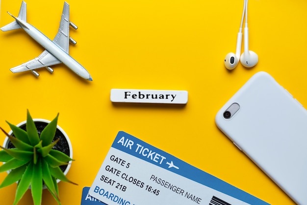 Концепция полетов в феврале с игрушкой самолета с билетами.