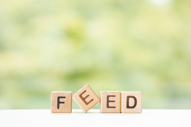 Feed word is written on wooden cubes on a green summer background Closeup of wooden elements