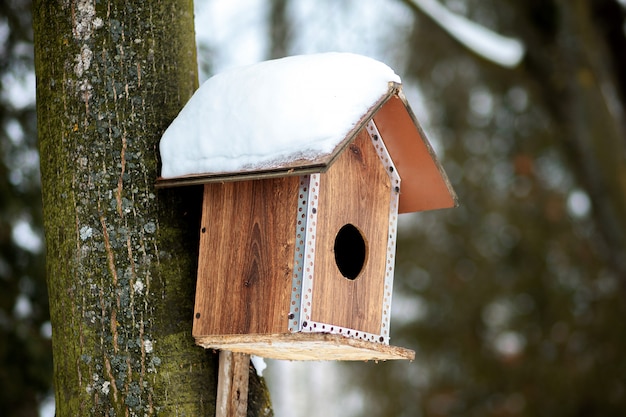 冬の森の雪の中で鳥の餌箱