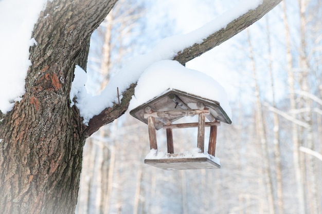 冬の森の鳥の餌箱