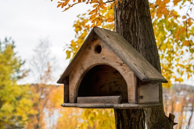 Feeders for birds in the city park closeup photo