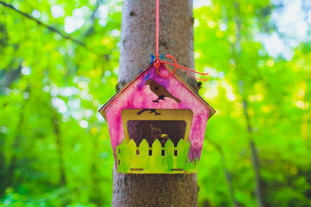 Feeders for birds in city park