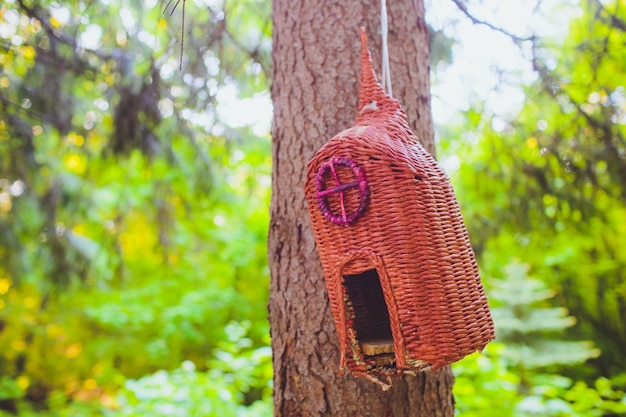 Feeders for birds in city park