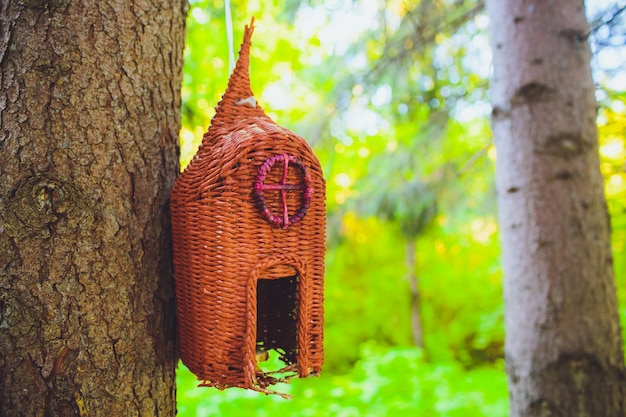 Feeders for birds in city park