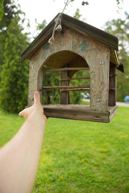 Feeders for birds in the city park