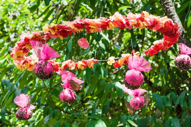 Feeding of bees.