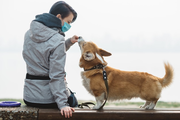 Foto alimentazione di corgi nel parco cittadino vicino al fiume. camminare con protezione in quarantena. proprietario di un animale domestico con allergia al pelo del cane.