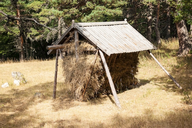 Photo feeding trough for animals in the forest.