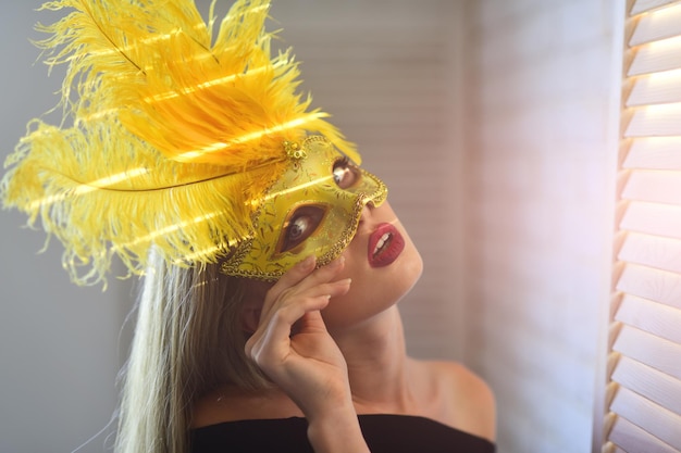 Feest vakantie viering sensuele vrouw draag carnaval masker met veer mode mode-accessoire st...