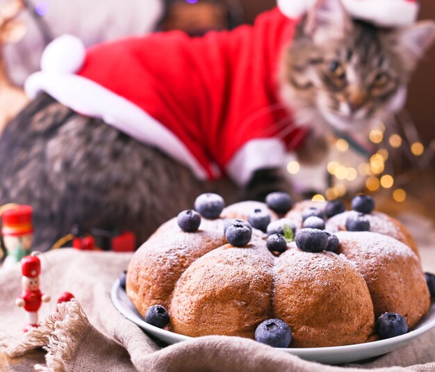 Feestcake en Mooie kat in de kleren van de Kerstman.