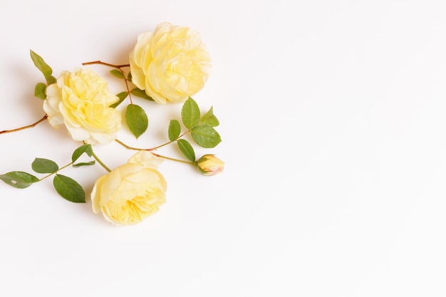 Feestelijke bloemsamenstelling op het witte houten bovenaanzicht als achtergrond