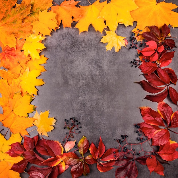 Foto feestelijke frame ansichtkaart voor de herfstvakantie of halloween gemaakt van fel veelkleurige herfstbladeren