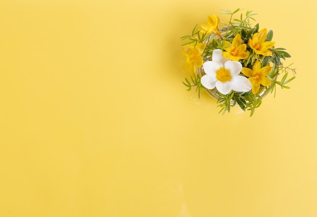 Feestelijke wilde lente gele bloemen en twijgen samenstelling op de gele achtergrond. Bovenaanzicht, plat gelegd. Ruimte kopiëren. Verjaardag, Moederdag, Valentijnsdag, Dames, Trouwdag concept.