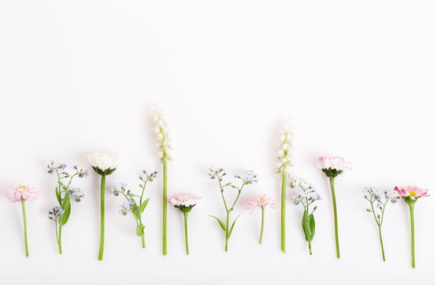 Feestelijke wilde lente zomer bloemen samenstelling op de witte achtergrond Overhead bovenaanzicht plat lag kopie ruimte verjaardag moeders Valentines Womens bruiloft dag concept