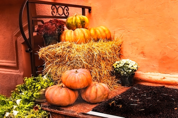 Feestelijke woondecoratie met pompoenen en bloemen voor Allerheiligen Halloween