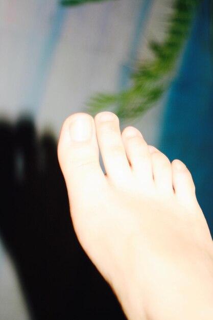 Photo feet close up