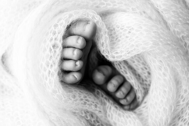 Ноги новорожденного крупным планом в шерстяном одеяле. Беременность, материнство, подготовка и ожидание материнства, понятие о рождении ребенка. Черно-белая фотография. Фото высокого качества