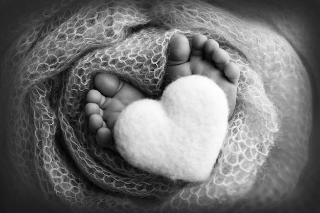 Feet of a newborn closeup in a woolen blanket Pregnancy motherhood preparation and expectation of motherhood the concept of the birth of a child Black and white photography